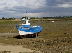 Ile_grande35