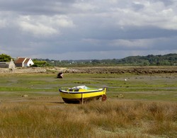Ile_grande36