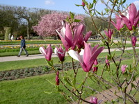 Jardin_des_plantes9_3