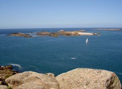 Le_miliau12_1