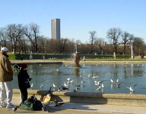 Mouettes1_1