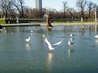 Mouettes3_2