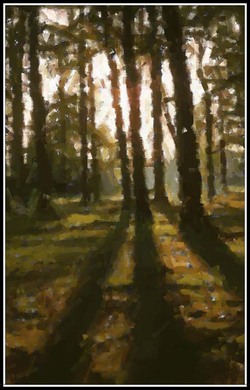 Ombres_1