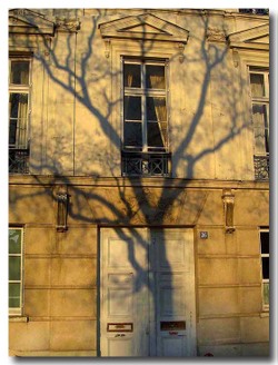 Paris_035_4_copie_1