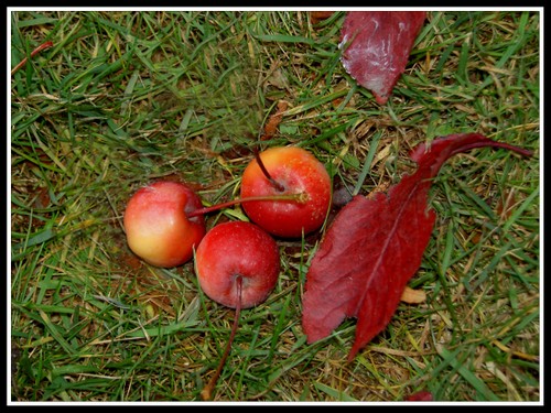 Pict0019