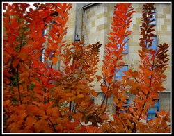 Pict0022_2