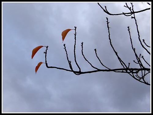 Pict0024