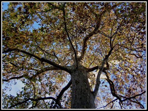 Pict0028_1