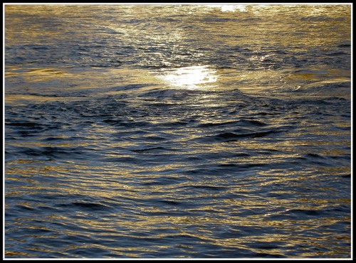 Pict0039_5