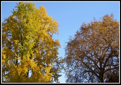 Pict0045