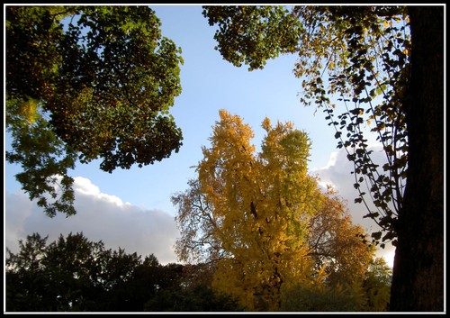 Pict0046