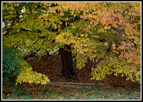 Pict0059