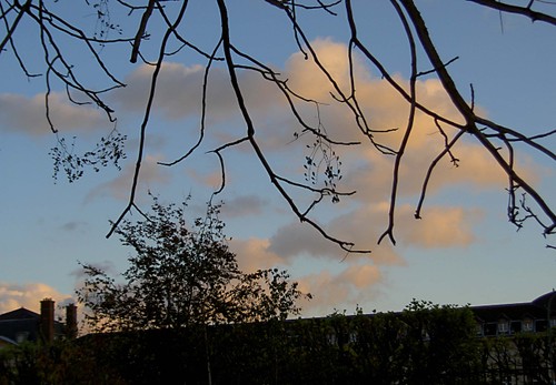 Pict0069_1
