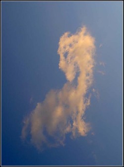 Pict0073_1