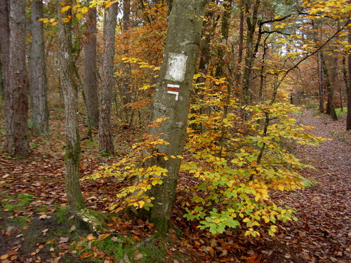 Pict0083_2