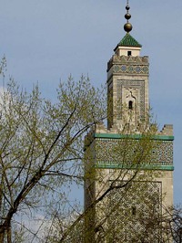 Pict2755_1