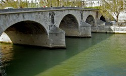 Pict2796_1