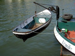 Pict2801_1