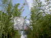 Pict2998
