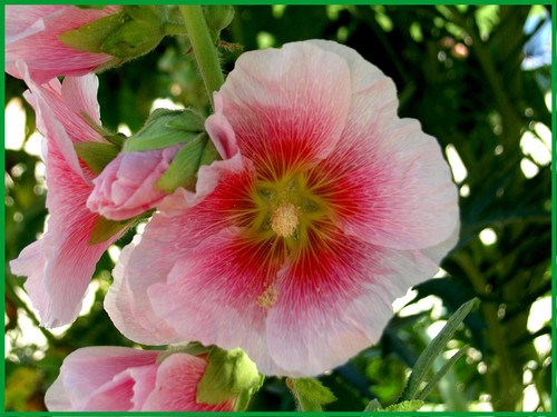 Pict3713_3