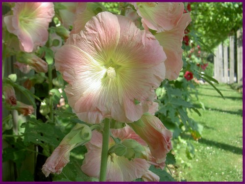 Pict3745_1