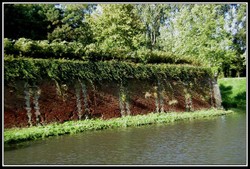 Pict5234_1