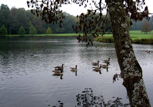 Pict5426_1