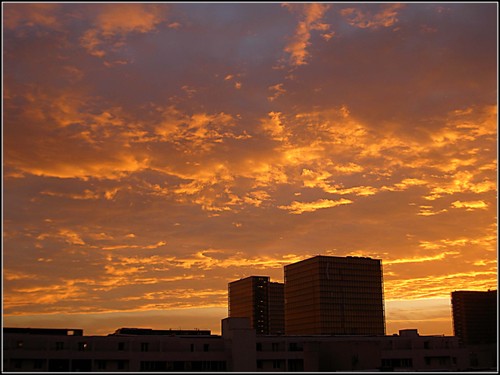 Pict5552_3