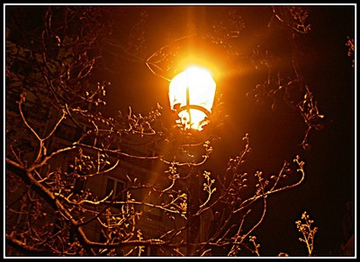 Pict6378_4