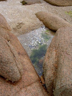 Plage5