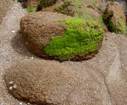 Plage6