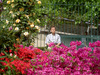 Promenade_plante4