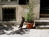Rue_crmieux4