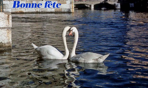 Saint_valentin