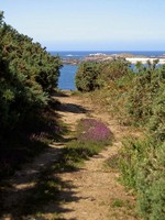 Trebeurden2006_080