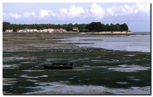 L'île de Ré