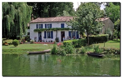 Le marais poitevin 1