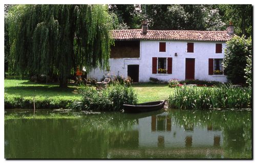 Marais_poitevin2
