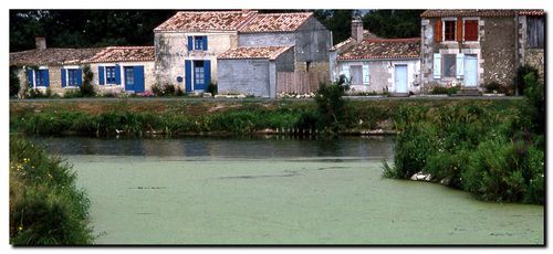Marais poitevin3