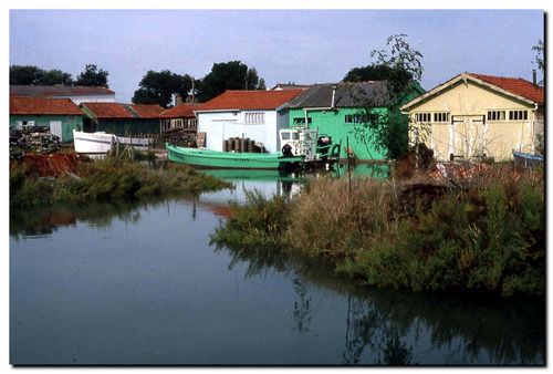 Marennes4