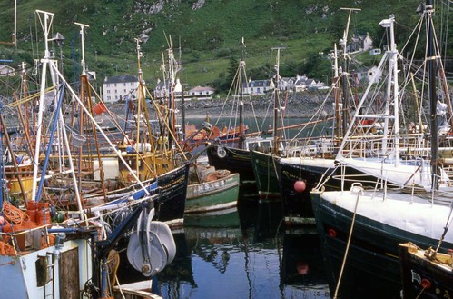076_mallaig