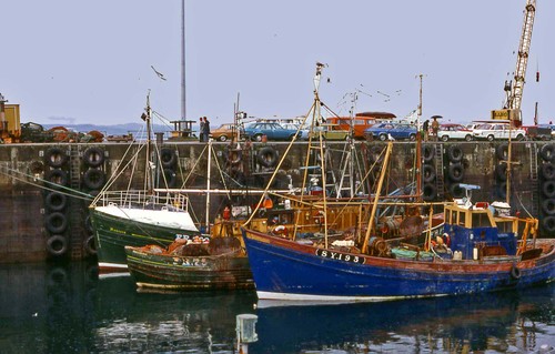 078mallaig