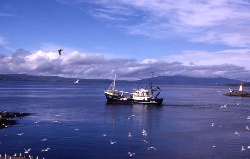 082mallaig