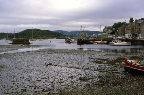 122tarbert