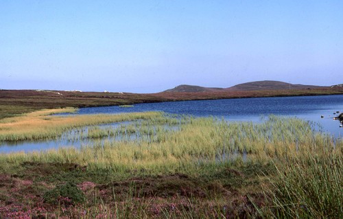187vers_thurso