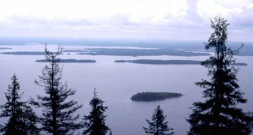022mont_koli
