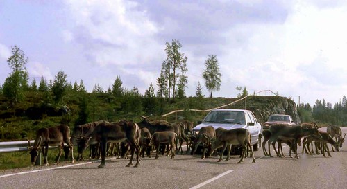 051finlande