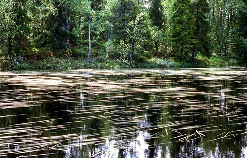 055finlande