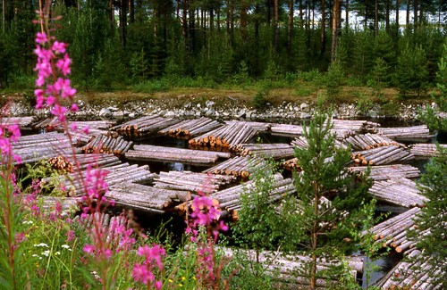 060finlande