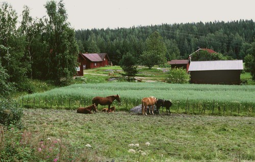 085finlande